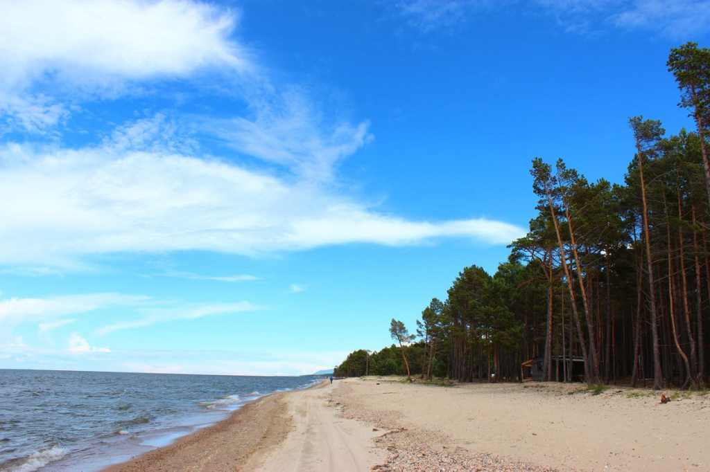 � ���� ���� �� ������� � ������� �� �������� �������������� �����