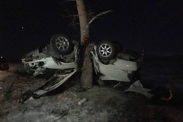 В Бурятии водитель ночью влетел в дерево