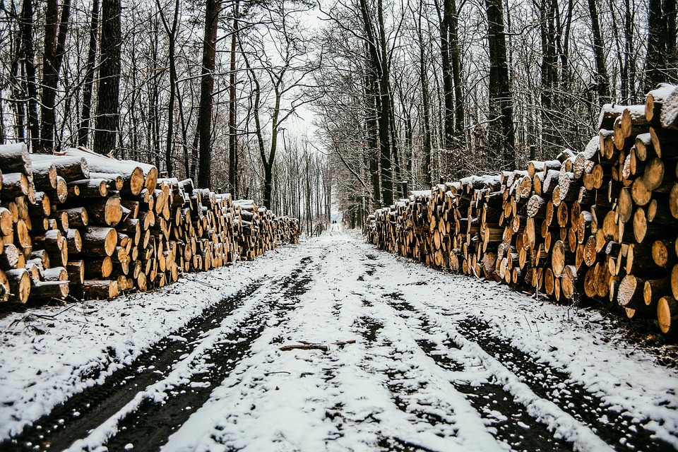 "     ":          