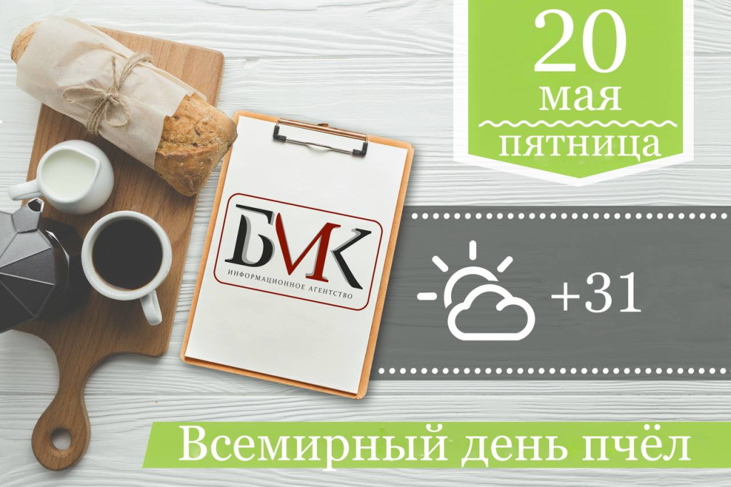   :        ;      ,     ;        2022 