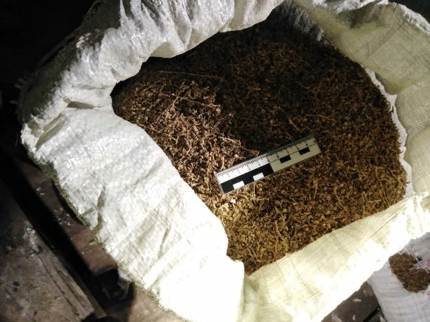 � ������� � ������� ����� 23 ���������� ����������