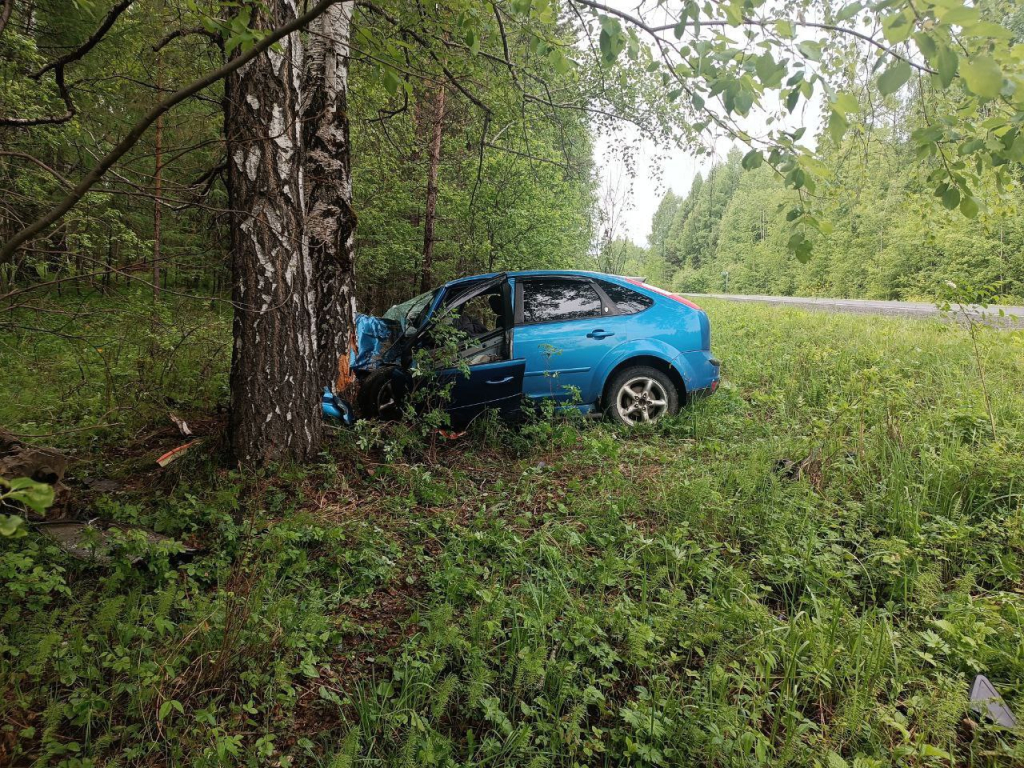 В Бурятии в ДТП с деревом погибли молодая девушка