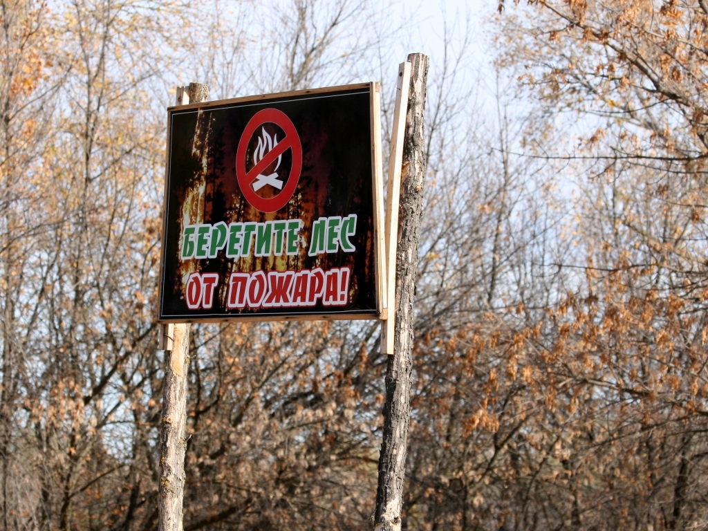В Бурятии лесные пожары не зарегистрированы