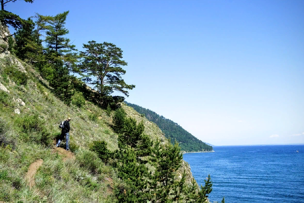 ������ ���������� �������� ���������� � ��� � ���������� ����� �� �������