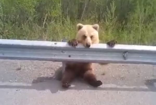      ►