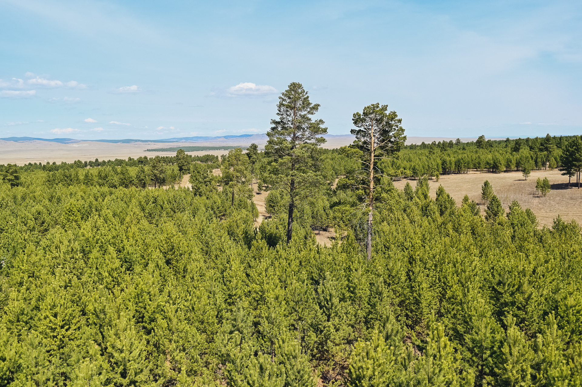 � ������� ����� ������ ��������������� �����