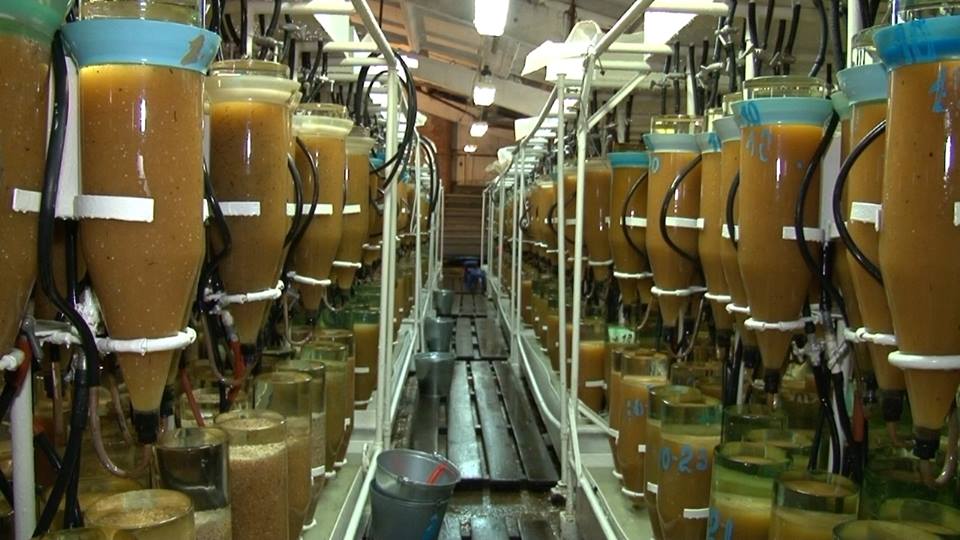 ������� ������� �������� �� ������������� ������������� �������