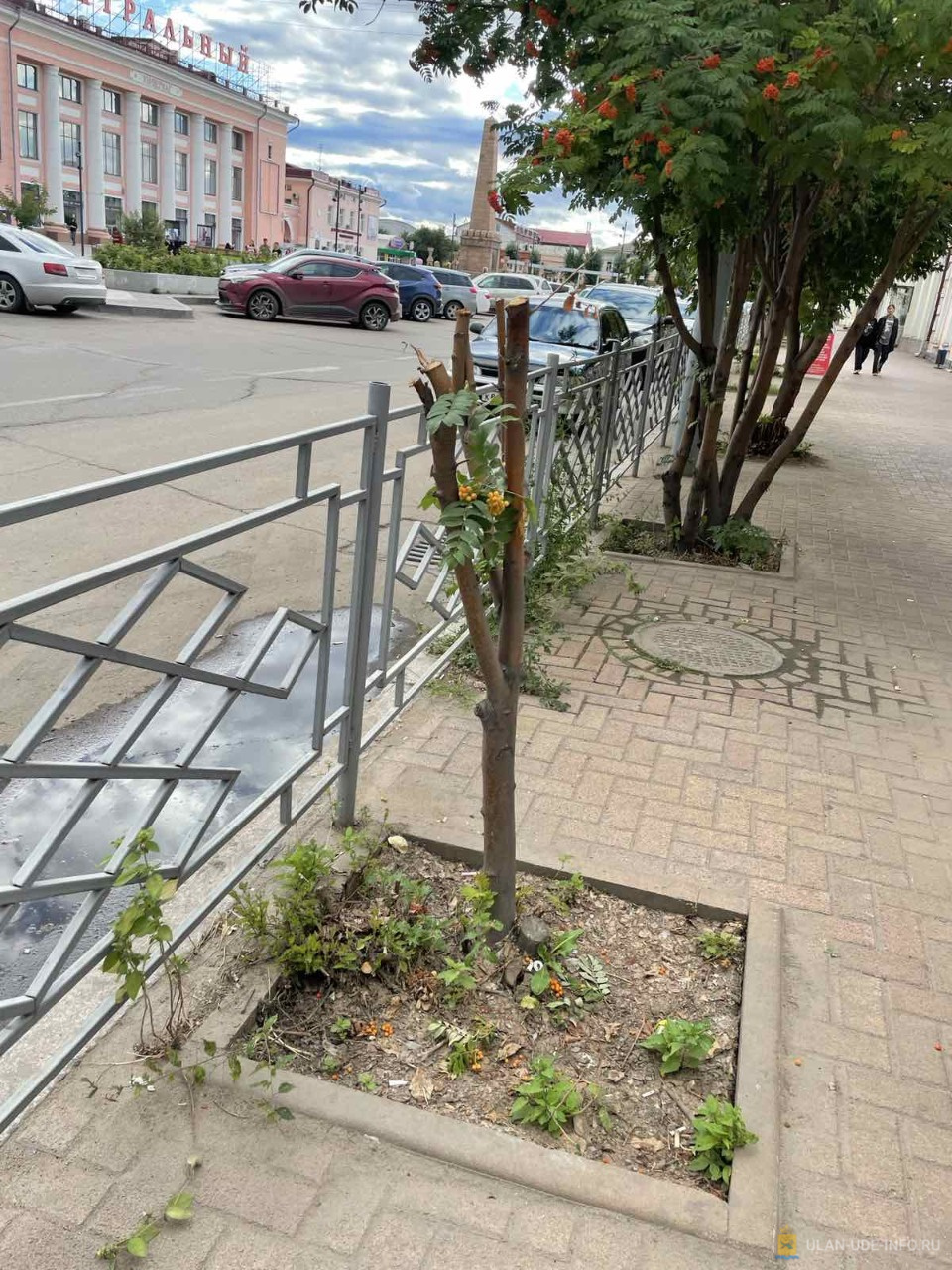 � ������ ����-��� ����������� ������� ������