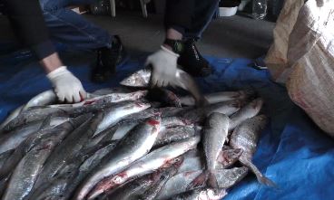 � ������� � ��������� ������ 200 ����������� ����� ►