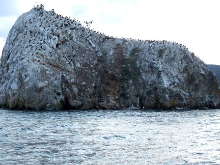 � ������� ���� �������� ���������� ���� �� ������� 