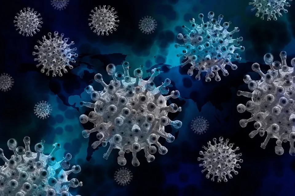 ������� ��������: � ���������������� �������, ��� ����� "������" � ������ ����������� �����; �� ����� � �� ����������������� 2928 �������; �������� ����������� ������������ �� ��������� ����������� ������� ����� COVID