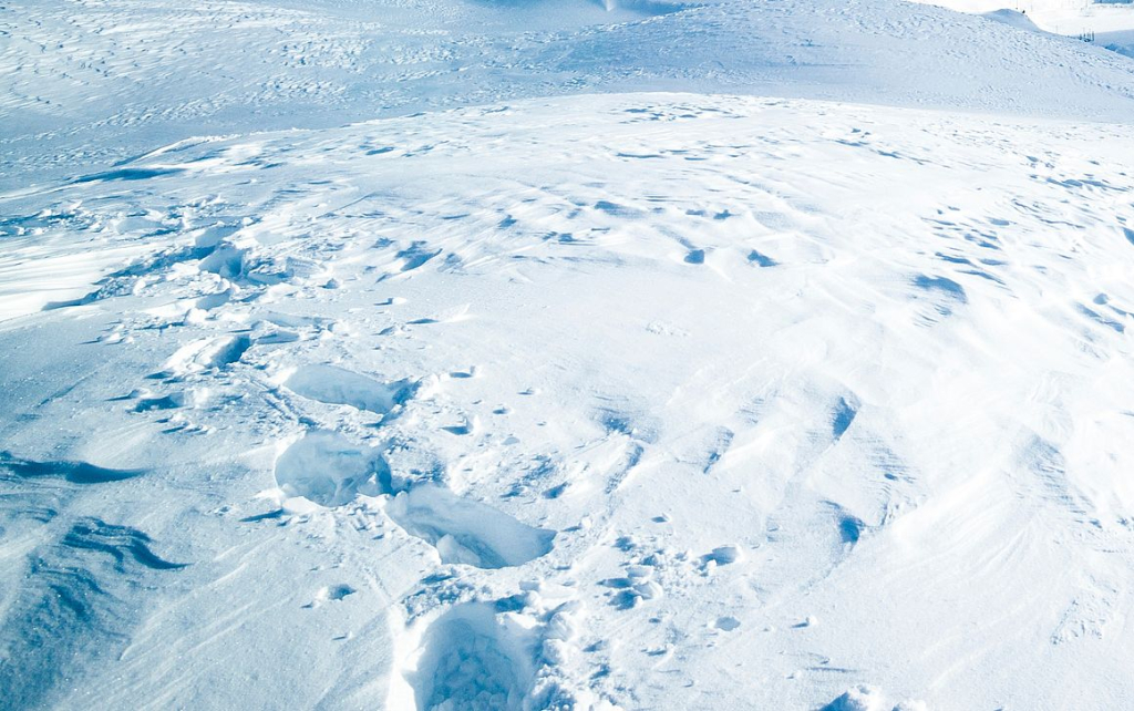 � ������� ��������� ����� ���� ������� �����