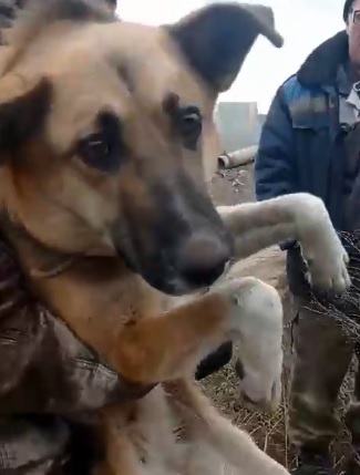 � ����-��� ������ � ��������� ��� ��� ��������� �� ��� ����