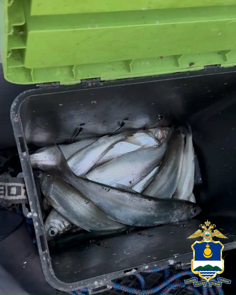 � ������� ����������� ������� �� ������� ���� ������� � ����������� ������