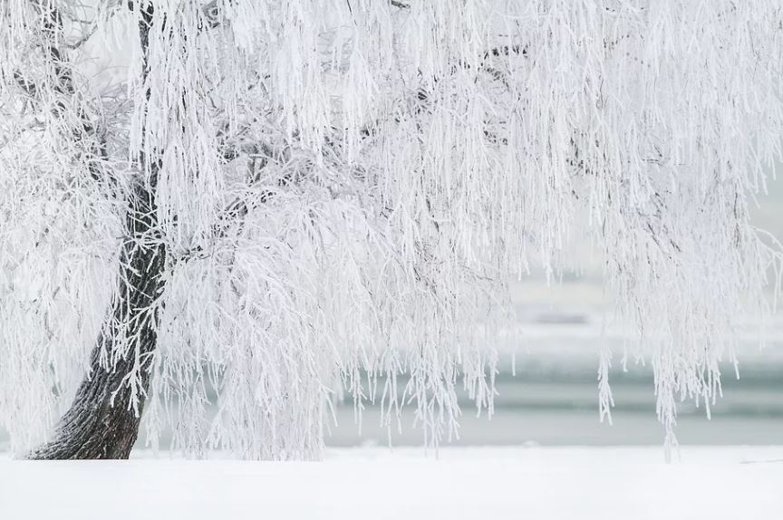        -27