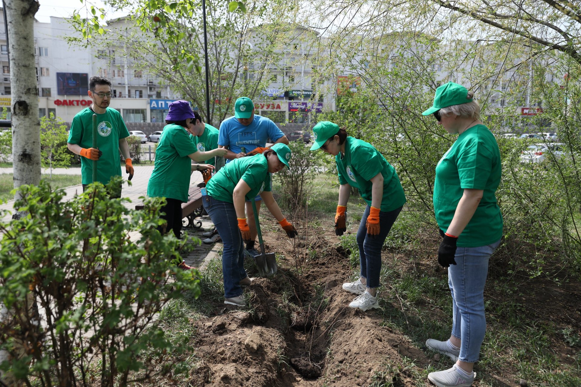 �� ����� ��������� ������ �������� ������� ���������