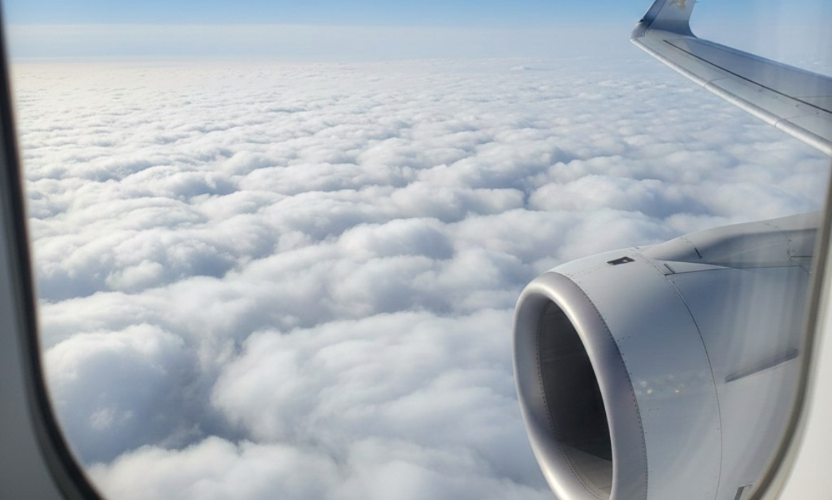 ������ ����� ����� �������: ������ ������� ����� � ����� �� ������