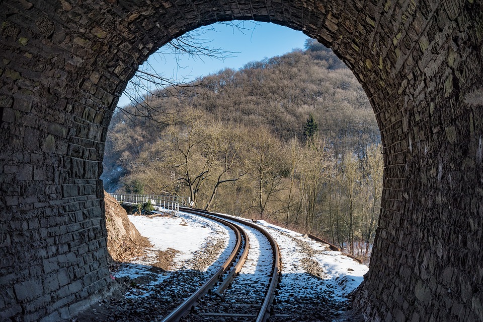    261  