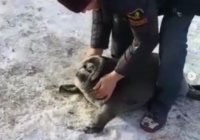            ►