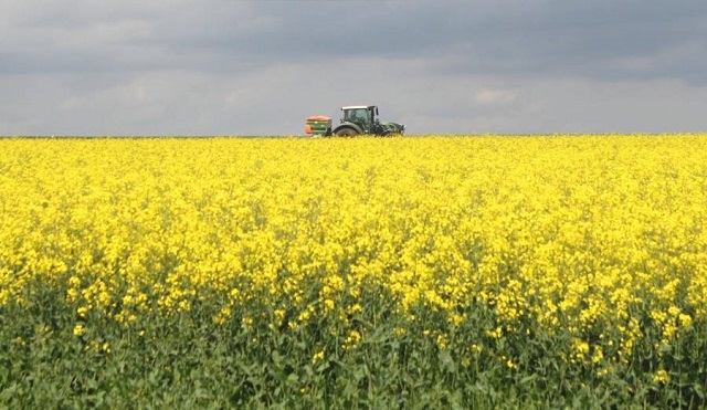 ������� ������������ ��������� �� �������� ������ 183,5 ����� ����