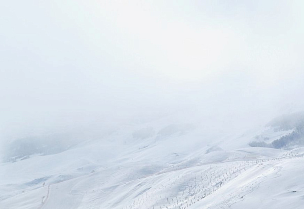 � ������� �������� ����������� ������� � ��������� ���� �����������