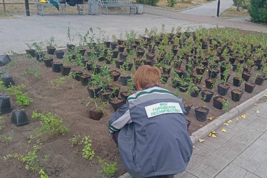 � ����-��� ��������� ������� ����������� ������