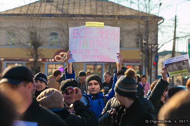 IMG_2851.jpg