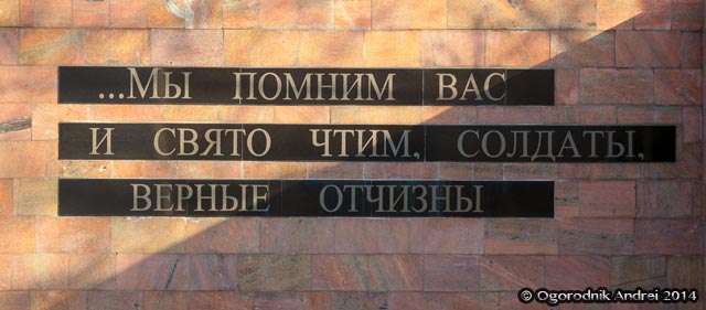 IMG_6706.jpg