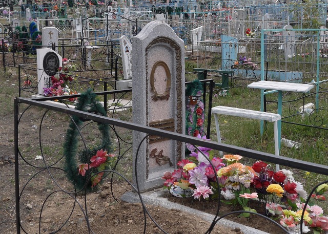 �������� ���������