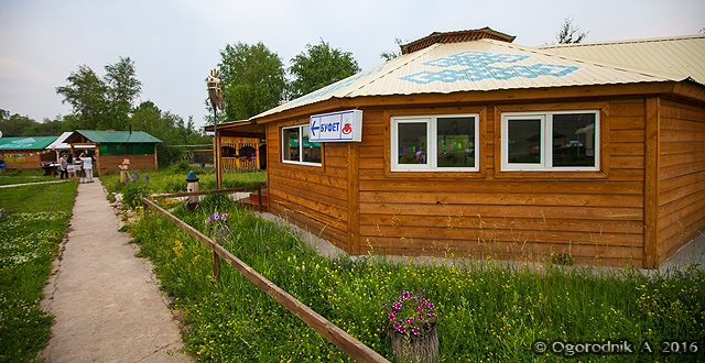 IMG_4125.jpg