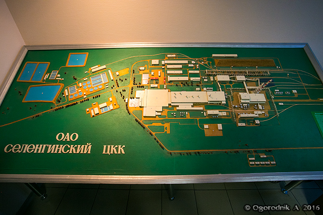 AOGO8665.jpg