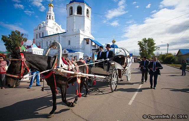 IMG_9811.jpg