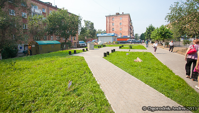 IMG_0660.jpg