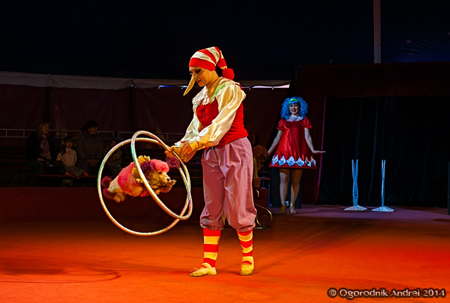 IMG_2111.jpg