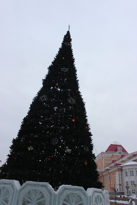 IMG_8539.JPG