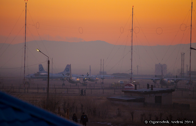 IMG_7631.jpg