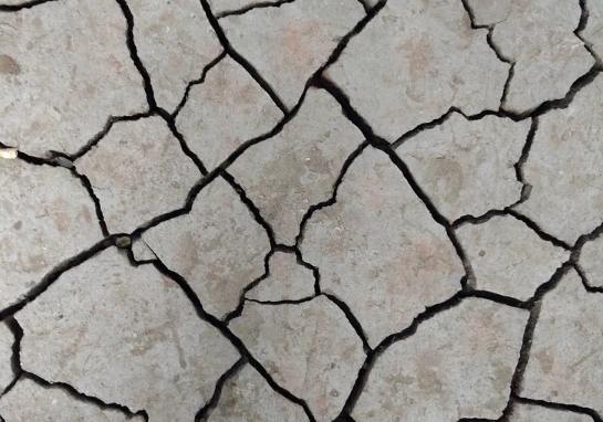 ������ � ������� ������: ������ ��������� ������� ������������� � ���� ����