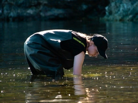 ������ ������ �������� �������, ������ � ������ ������� ����