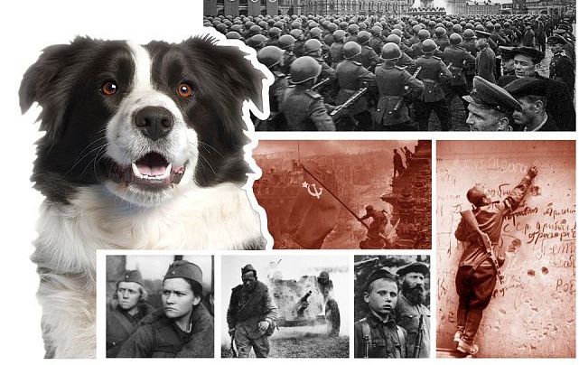 ��������� ���������� ���������� ���������������� ������� �� ������� ������� ������������� ����� ������� ������