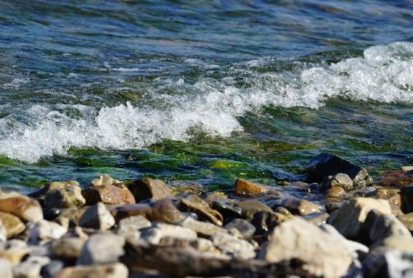 ����������� �������������� ��������� ��������� � ������������