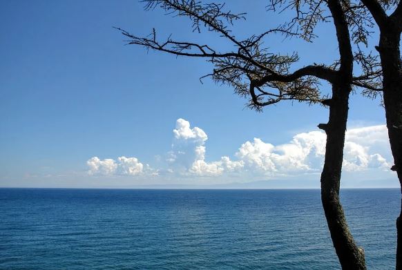 ������ ����� � ���-10 ����� ���������� ���� ��� ������