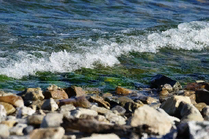 ��������������� �� ���������� ���� ����� ������� ������������ ��� �� ����������������