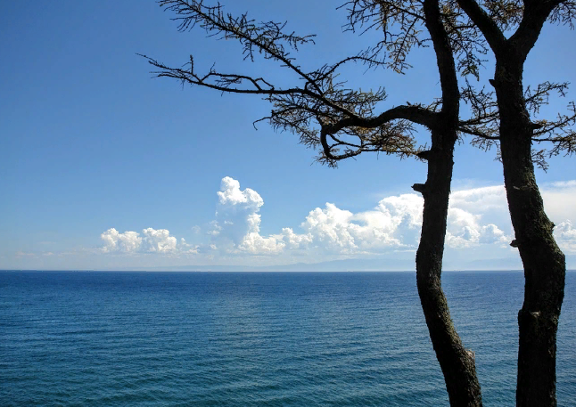 ����� � ������� ����� ���������� ������� ���� 