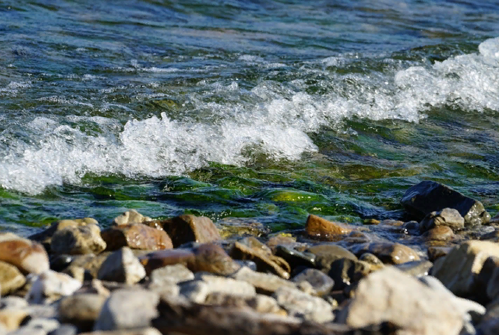 ������ ��������� �������� ������� ��� �������� �������� �� �������� � ������� �����������