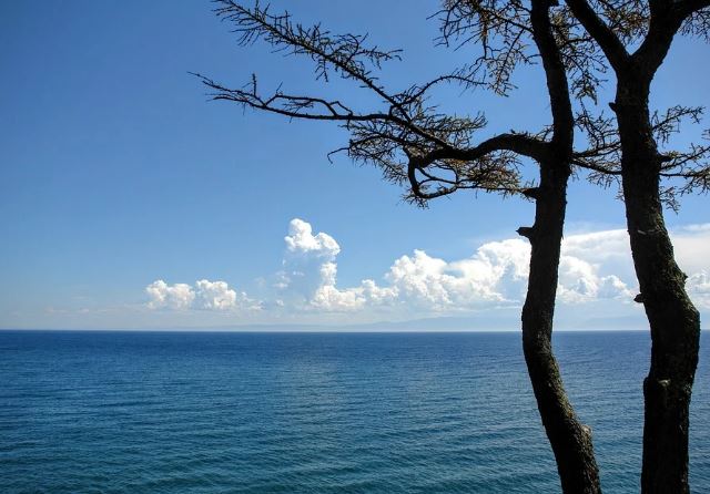 ������� �������: ������ ���������� ����������?