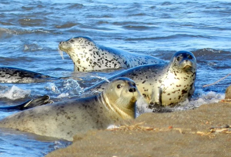 ������ ������������ ��� ����������� ����� ��� ���������� ��� �� ������ ����