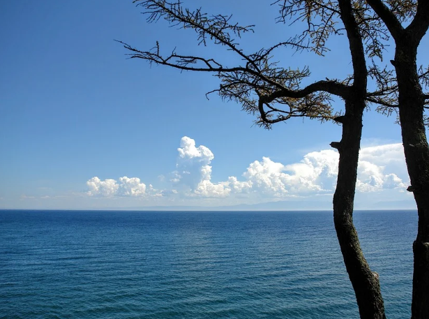 "�������������� ������ - ����������� ������": �� ���� ������� 70 ���. ���������� ���� � ������-�����������