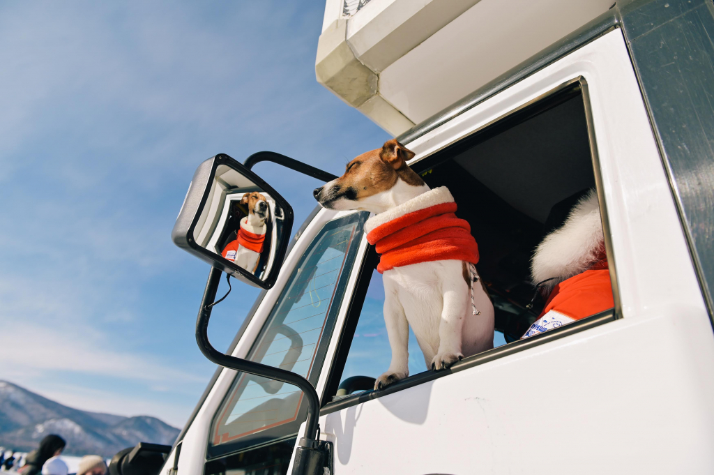 � ������� ����������� ������������ �����