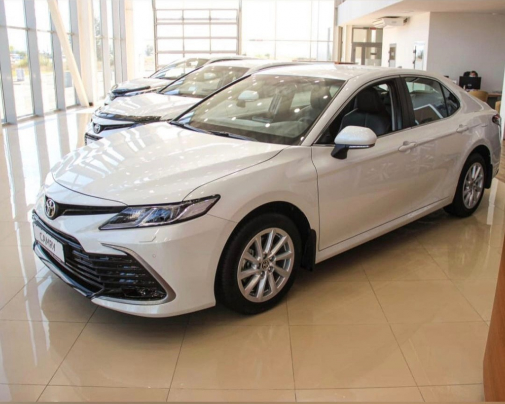 ������� ������ "����������� �������-2022" ������ ������ �����