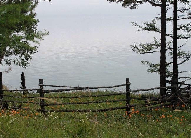 ��������� �� ��� ������� � ������� 46 ���� ������